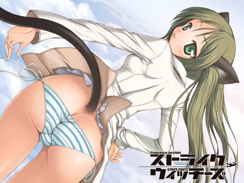 animal_ears aokihoshi ass cat_ears cat_tail francesca_lucchini lowleg lowleg_panties panties side-tie_panties solo strike_witches striped striped_panties tail trefoil underwear world_witches_series