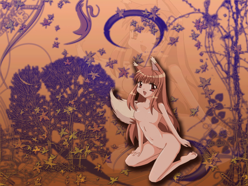 alexa_darkness animal_ears bad_anatomy barefoot brown_hair highres holo long_hair non-web_source solo spice_and_wolf