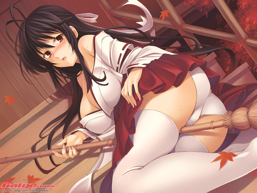 antenna_hair ass bare_shoulders between_thighs black_hair blush bow breasts broom cameltoe cleavage dutch_angle galge.com hair_bow hair_ribbon hakama honda_naoki japanese_clothes large_breasts leaf legs long_hair lying maple_leaf miko off_shoulder on_side open_mouth original panties red_eyes red_hakama ribbon solo sweat tears thighhighs thighs trefoil underwear white_legwear white_panties