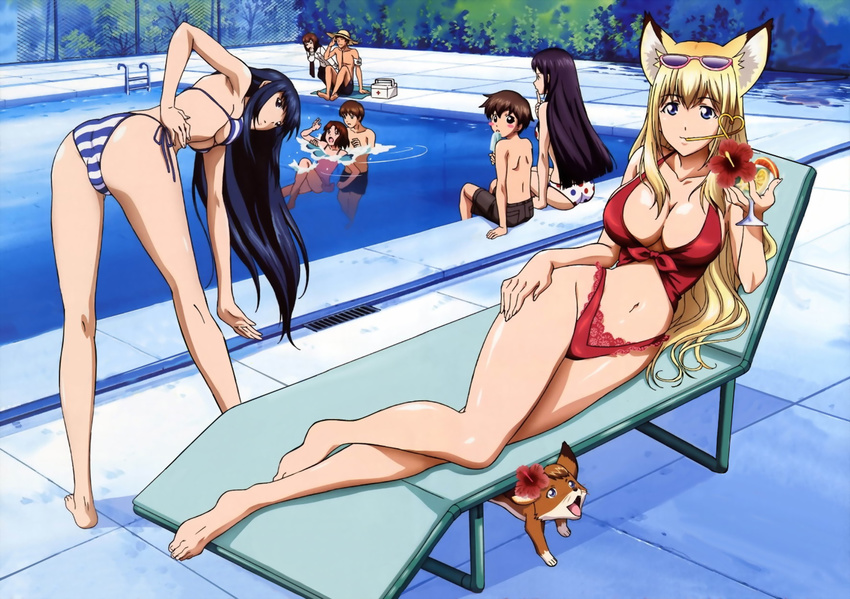 5girls :o age_difference animal_ears arm_support ass back bangs barefoot bent_over bikini blonde_hair blue_bikini blue_hair blush breasts brothers brown_hair casual_one-piece_swimsuit chain-link_fence chair cleavage cocktail collarbone copyright_name crazy_straw cup curvy daigourou day detexted drain_(object) drink drinking drinking_glass drinking_straw eating ebisu_(wagaya) everyone eyewear_on_head fat_mons feet fence finger_to_mouth first_aid_kit flower food fox fox_ears front-tie_bikini front-tie_top groin hair_flower hair_ornament hand_on_hip hand_on_own_thigh hands_up hat heart hibiscus highleg highleg_bikini highleg_swimsuit highres hips holding kneepits knees_up kou_(wagaya) lace lace-trimmed_bikini ladder large_breasts legs legs_apart long_hair looking_at_viewer looking_back lounge_chair lying male_swimwear miyabe_momiji mubyou multiple_boys multiple_girls navel nitta_yasunari official_art on_side one-piece_swimsuit outdoors parted_lips partially_submerged pink_swimsuit polka_dot polka_dot_bikini polka_dot_swimsuit pool pool_ladder poolside popsicle purple_hair red_bikini red_cross sakura_misaki satou_taka scan scared shiny shiny_skin shirtless short_hair siblings side-tie_bikini sidelocks sitting slender_waist small_breasts soaking_feet splashing straw_hat stretch striped striped_bikini striped_swimsuit sunglasses swim_trunks swimming swimsuit swimwear takagami_noboru takagami_tooru tan tenko_kuugen third-party_edit tropical_drink underboob very_long_hair wagaya_no_oinari-sama water white_bikini