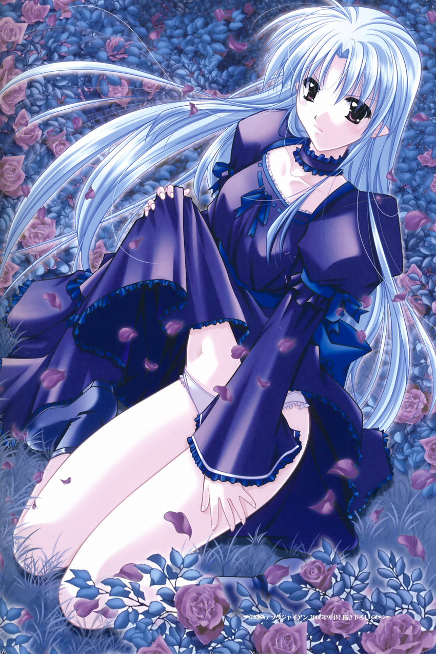 absurdres blue_hair copyright_request dress dress_lift flower highres long_hair panties petals pointy_ears solo underwear yamamoto_kazue