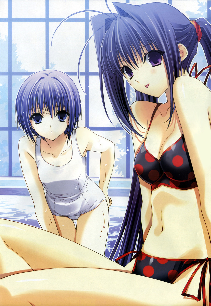 absurdres bikini black_hair blue_eyes blue_hair ginban_kaleidoscope highres lia_garnet_juitiev long_hair multiple_girls official_art one-piece_swimsuit polka_dot polka_dot_bikini ponytail purple_eyes sakurano_tazusa scan school_swimsuit short_hair side-tie_bikini suzuhira_hiro swimsuit tongue wet white_school_swimsuit white_swimsuit