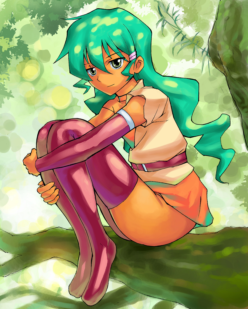 bad_id bad_pixiv_id deltora_quest elbow_gloves fura gloves green_eyes green_hair highres in_tree jasmine_(deltora_quest) leg_hug long_hair nature purple_legwear sitting sitting_in_tree solo thighhighs tree