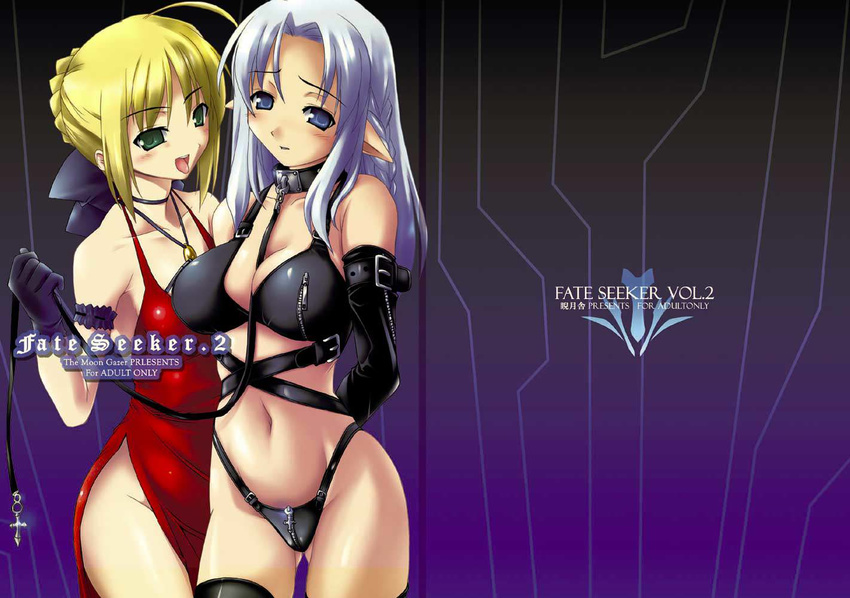 artist_request artoria_pendragon_(all) bdsm between_breasts blonde_hair blue_eyes blue_hair bondage bound bra breast_zipper breasts caster cleavage collar crotch_zipper dress elbow_gloves elf fate/stay_night fate_(series) gloves green_eyes leash lingerie medium_breasts multiple_girls navel panties pointy_ears saber slave small_breasts thighhighs underwear underwear_only yuri zipper