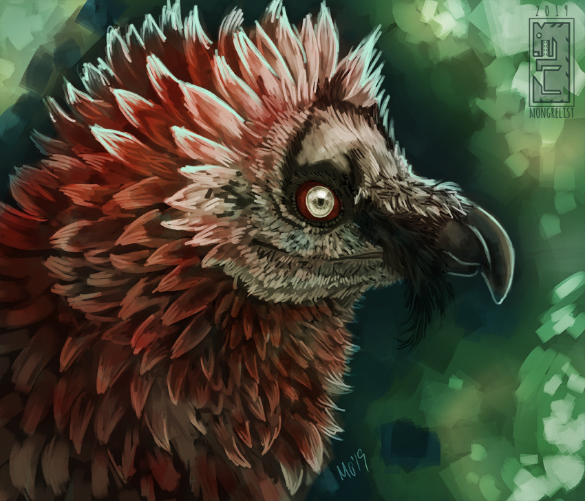 2019 ambiguous_gender avian beak bearded_vulture bird digital_media_(artwork) digital_painting_(artwork) feathers feral headshot_portrait mongrelist portrait red_sclera side_view solo vulture white_eyes