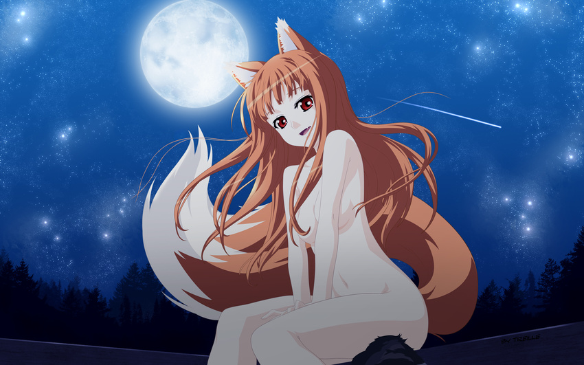 highres holo horo spice_and_wolf