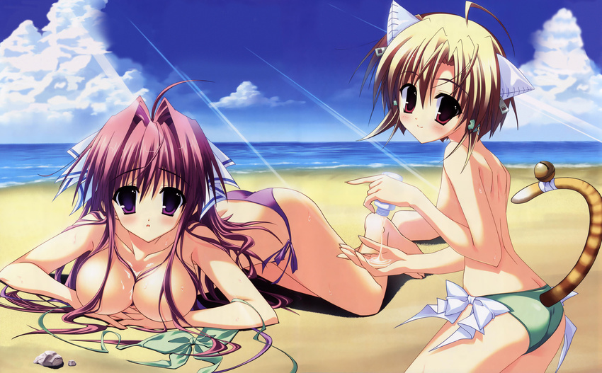 absurdres animal_ears beach bell bikini blonde_hair breast_press breasts cat_ears clear cleavage day highres large_breasts lotion_bottle mitha miyagino_sayu multiple_girls outdoors pink_hair purple_eyes red_eyes side-tie_bikini small_breasts swimsuit tail tail_bell topless tsukimura_miki