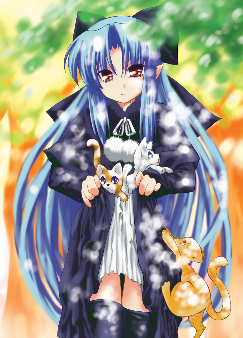 artist_request blue_hair cat highres len melty_blood pointy_ears red_eyes solo thighhighs tsukihime