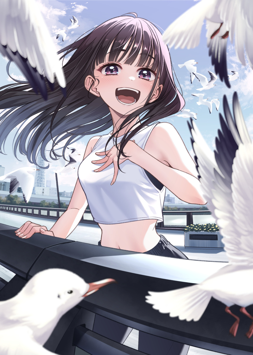 1girl bird black_hair black_pants hands_on_own_chest highres idol_x_idol_story! long_hair music nagisa_mimi navel open_mouth pants purple_eyes seagull singing tank_top tokunou_shoutarou wings