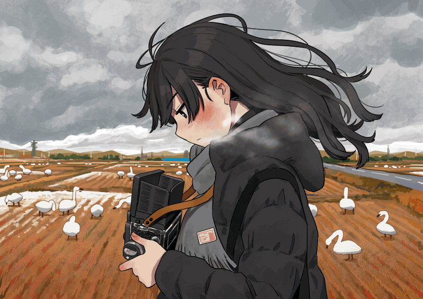 1girl absurdres bird black_coat black_eyes black_hair blush breath camera closed_mouth cloud cloudy_sky coat commentary english_commentary field from_side goose grey_sky hand_up highres holding holding_camera long_hair long_sleeves looking_down original outdoors overcast profile sky solo upper_body winter zinbei