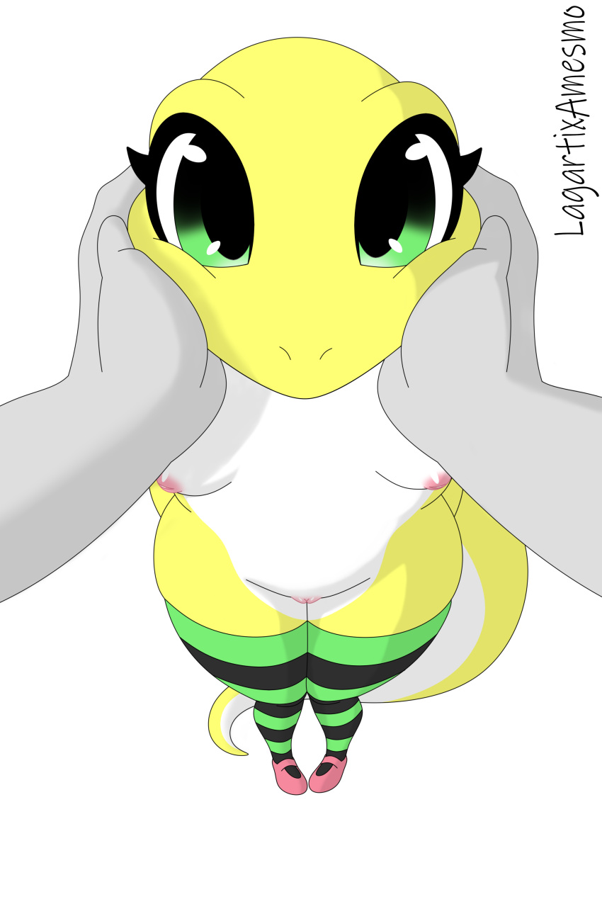 absurd_res anthro clothing female gecko heveli hi_res inverted_nipples lagartixamesmo legwear legwear_only lizard mostly_nude nipples reptile scalie solo stockings stockings_only