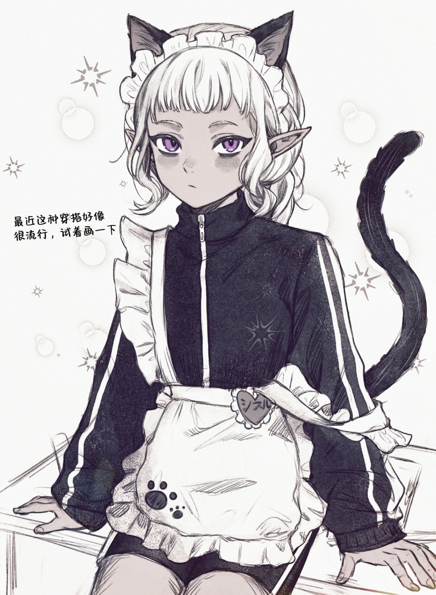 1boy absurdres alternate_costume androgynous animal_ears apron arm_support black_jacket black_shorts cat_boy cat_ears cat_tail chinese_commentary chinese_text commentary_request cowboy_shot dungeon_meshi elf expressionless frilled_apron frills highres jacket kemonomimi_mode limited_palette long_sleeves looking_at_viewer maid_apron maid_headdress male_focus navia84789947 otoko_no_ko paw_print pointy_ears purple_eyes short_bangs short_hair shorts sitting solo strap_slip tail thistle_(dungeon_meshi) track_jacket translation_request white_apron white_background white_hair zipper