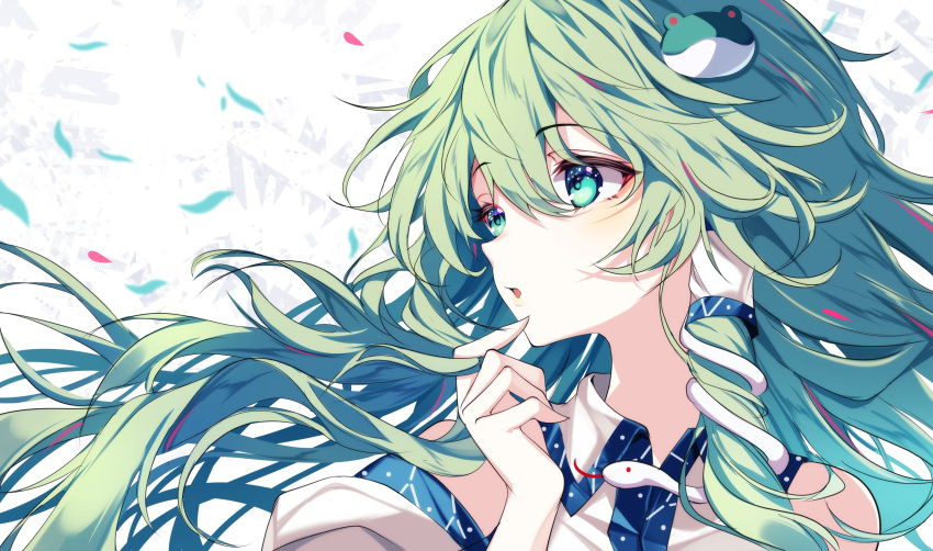 1girl absurdres commentary_request frog_hair_ornament green_eyes green_hair hair_ornament highres kochiya_sanae long_hair parted_lips shirt simple_background single_sidelock snake_hair_ornament solo touhou upper_body very_long_hair white_background white_shirt white_sleeves wide_sleeves yamanakaume