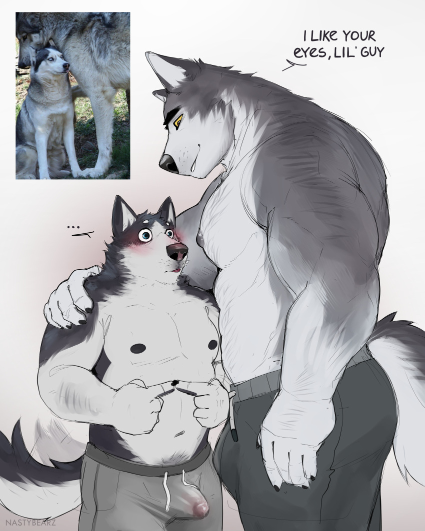 absurd_res anthro arm_hair blush body_hair bulge canid canine canis chest_hair clothed clothing dialogue domestic_dog duo english_text erection erection_under_clothing genital_outline happy_trail hi_res husky larger_male male male/male mammal muscular muscular_anthro muscular_male nastybearz navel nipples nordic_sled_dog pecs pubes size_difference smaller_male spitz sweatpants text thousand_yard_stare topless topless_male wolf yellow_sclera