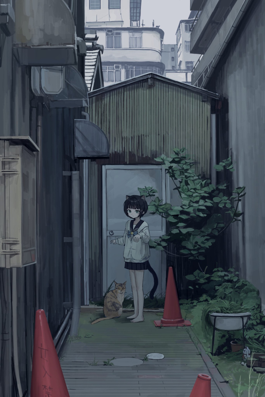 1girl alley animal_ears awning barefoot black_hair black_sailor_collar black_skirt blue_bow blue_bowtie blue_eyes bow bowtie brick_floor building bush cardigan cat cat_ears cat_girl cat_tail cityscape corrugated_galvanised_iron_sheet day door feet fusebox grass highres long_sleeves looking_at_viewer miniskirt original outdoors plant pleated_skirt potted_plant sailor_collar sakiika0513 scenery shed short_hair sidelocks skirt solo tail traffic_cone white_cardigan wide_shot