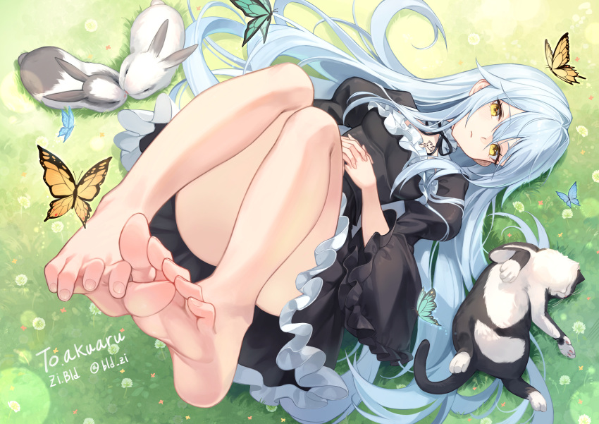 1girl absurdres barefoot black_dress bld_zi blue_hair blush breasts bug butterfly cat dress frilled_dress frills grass highres light_blue_hair long_hair long_sleeves looking_at_viewer original rabbit small_breasts soles solo toes very_long_hair wide_sleeves yellow_eyes