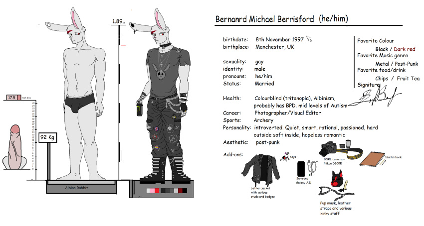 absurd_res accessory albino albino_rabbit anthro bernard_berrisford caesarmeow character design_(disambiguation) genitals hi_res lagomorph leporid male male/male mammal original_character penis rabbit sheet_(disambiguation) solo