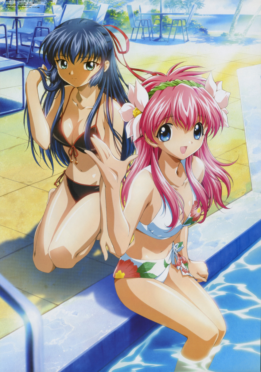 90s :d absurdres beach bikini black_bikini blue_eyes blue_hair breasts chair cleavage day duplicate floral_print flower front-tie_top galaxy_angel hair_flower hair_ornament half_updo hand_in_hair highres karasuma_chitose kimura_masahiro kneeling large_breasts light_rays long_hair milfeulle_sakuraba multiple_girls ocean official_art open_mouth outdoors palm_tree pink_hair pinup pool pool_ladder poolside scan side-tie_bikini sitting smile soaking_feet sunbeam sunlight swimsuit table tree water waving