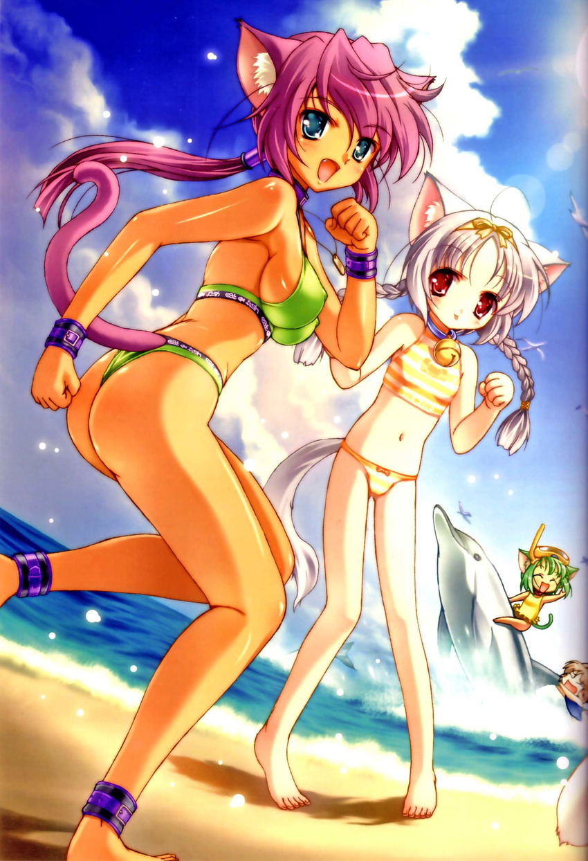 animal_ears anklet barefoot beach bell bikini cat_ears cat_tail chibi cloud copyright_request day dolphin dutch_angle fang green_bikini highres ishida_hiroyuki jewelry jingle_bell long_hair multiple_girls navel open_mouth outdoors riding scan sky snorkel standing striped striped_bikini swimsuit tail twintails water yellow_swimsuit
