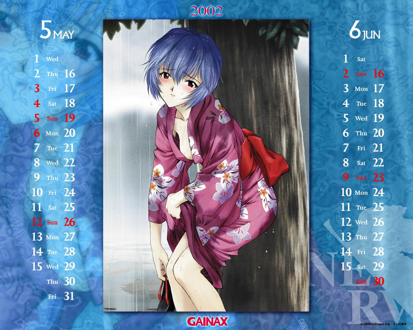 2002 against_tree ayanami_rei bangs blue_hair blush breasts calendar_(medium) clothes_lift cloud dated downblouse embarrassed floral_print gainax_calendar hair_between_eyes head_tilt holding japanese_clothes june kimono kimono_lift leaning_forward long_sleeves looking_at_viewer looking_back may medium_breasts nature neon_genesis_evangelion nerv no_bra non-web_source obi official_art open_clothes open_kimono outdoors parted_lips profile rain red_eyes sandals sash shoes_removed short_hair sky solo squatting standing tree utatane_hiroyuki water watermark wet wet_clothes wet_hair zoom_layer