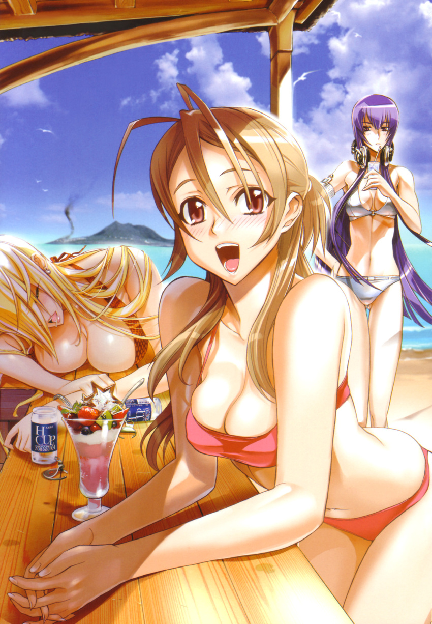 :d alcohol antenna_hair armband beach beer bent_over bikini bird blonde_hair breast_press breasts brown_hair busujima_saeko can cleavage closed_eyes cloud day dessert drink drinking_straw earrings food hand_on_hip hands_clasped headphones highres highschool_of_the_dead ice_cream jewelry large_breasts lipstick long_hair makeup marikawa_shizuka miyamoto_rei multiple_girls official_art open_mouth outdoors own_hands_together pink_eyes purple_hair saliva satou_shouji seagull sky sleeping smile standing sundae swimsuit thigh_gap very_long_hair water