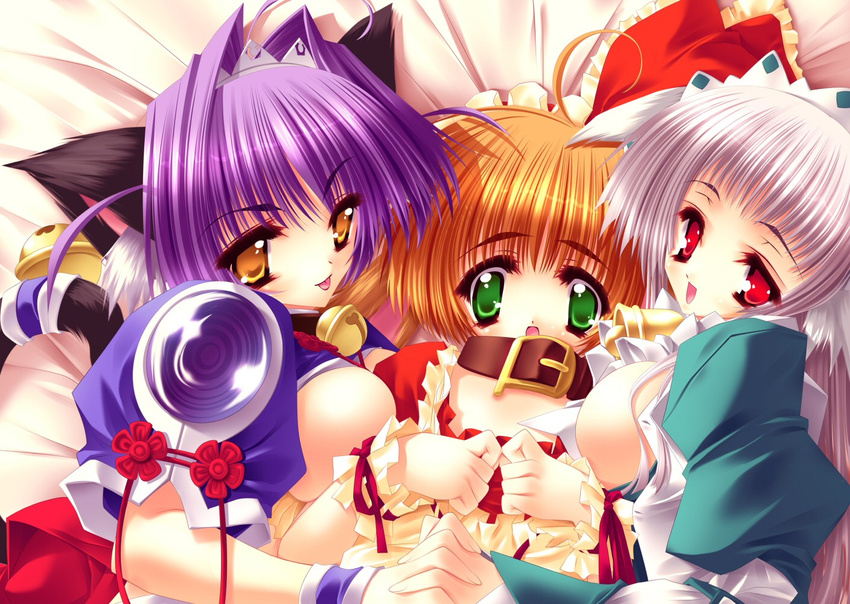 :p ahoge animal_ears aoi_yuuji bed bell bell_collar breast_press breasts cat_ears cat_tail collar flat_chest green_eyes kurohime_(puni_puni_handmaid) large_breasts long_hair lying multiple_girls on_back open_clothes open_shirt orange_hair pochiko_(puni_puni_handmaid) puni_puni_handmaid purple_hair red_eyes shirt short_hair silver_hair tail tongue tongue_out yellow_eyes yui_(puni_puni_handmaid)