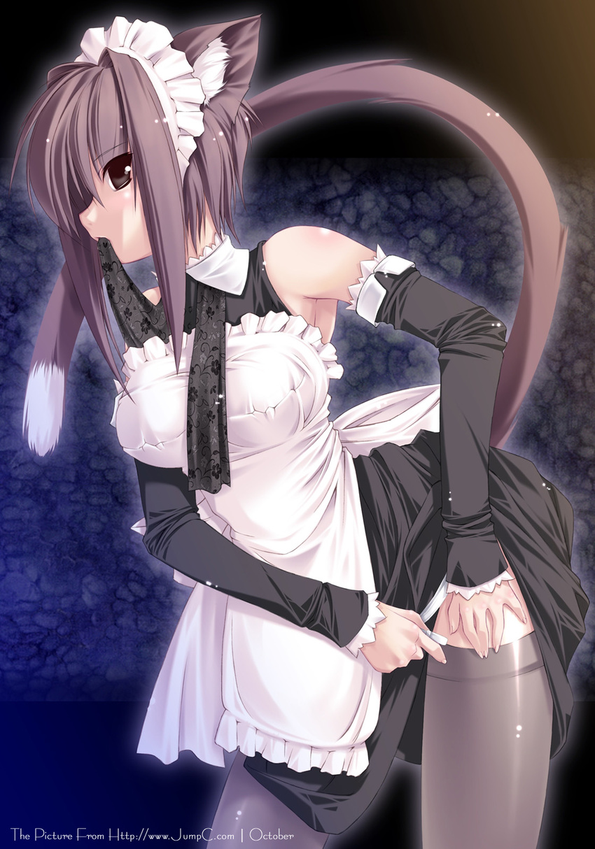 animal_ears cat_ears copyright_request highres jian long_sleeves maid mouth_hold solo tail thighhighs watermark