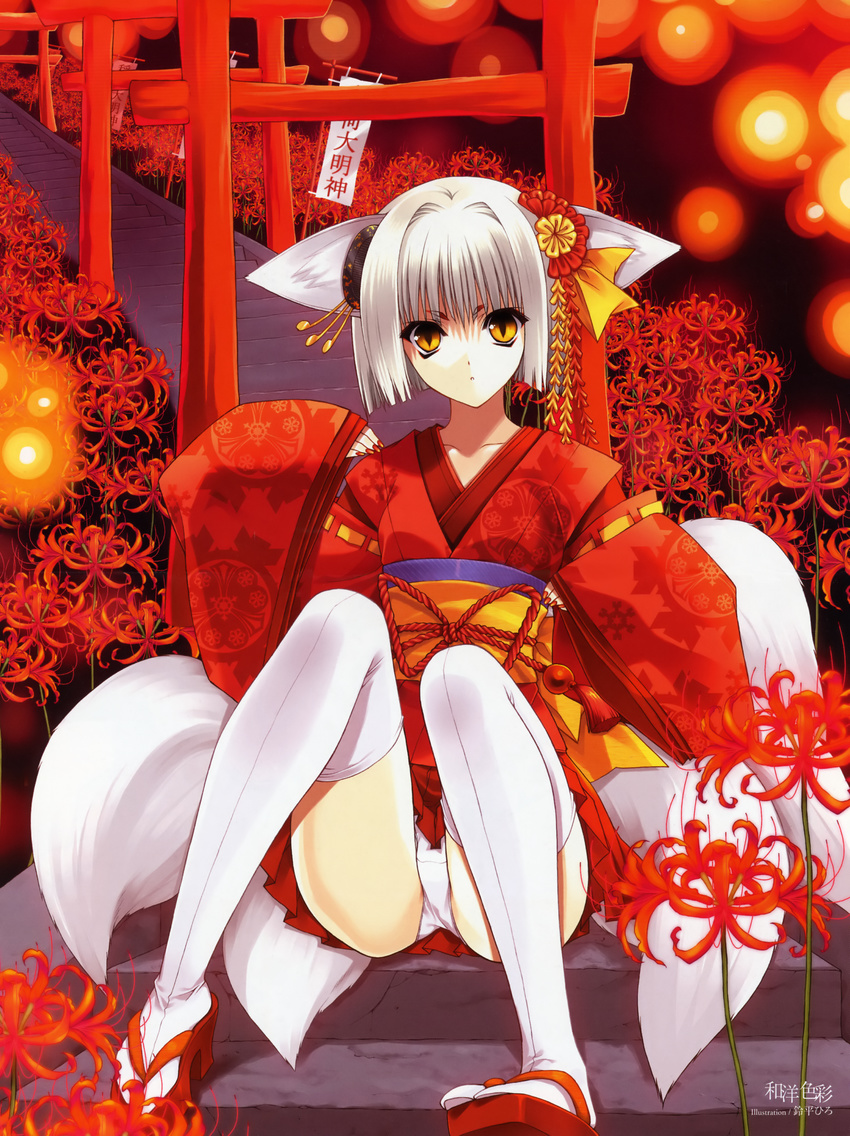 animal_ears copyright_request flower fox_ears fox_tail hair_ornament highres japanese_clothes kimono nail_polish panties red_nails sitting sitting_on_stairs solo spider_lily stairs suzuhira_hiro tabi tail thighhighs torii underwear white_hair white_panties yellow_eyes
