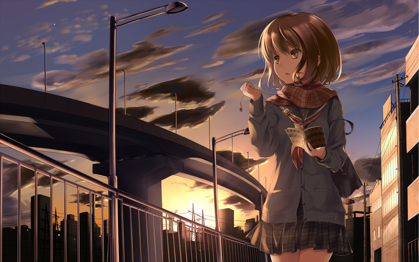 bag bangs book brown_eyes brown_hair buttons cable city cityscape cloud commentary_request cowboy_shot crane holding holding_book lamppost long_sleeves looking_away open_book open_mouth original outdoors overpass plaid plaid_scarf plaid_skirt pleated_skirt power_lines sailor_collar scarf school_bag school_uniform short_hair skirt sky solo sunset supertie telephone_pole transmission_tower
