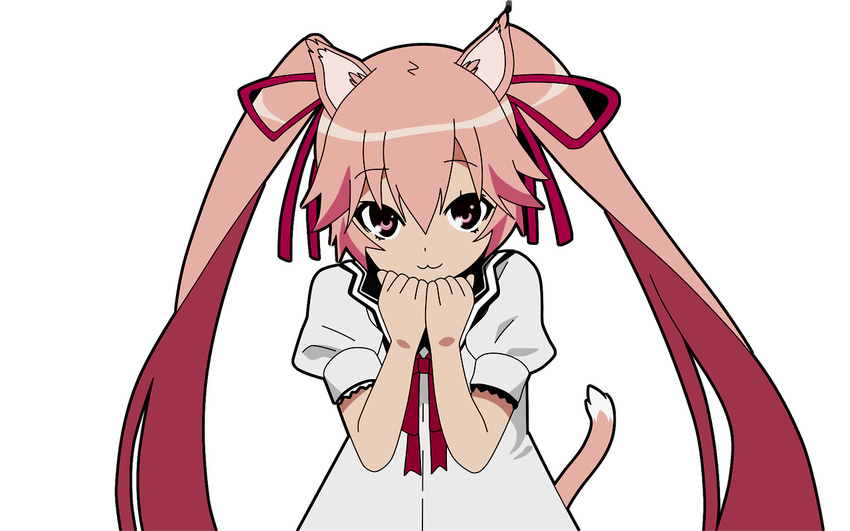 animal_ears catgirl ookami-san_to_shichinin_no_nakama-tachi tail transparent usami_mimi vector