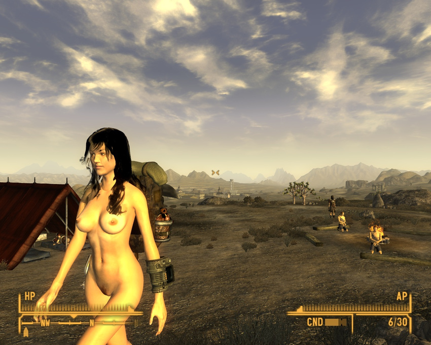 fallout fallout_new_vegas tagme the_courier