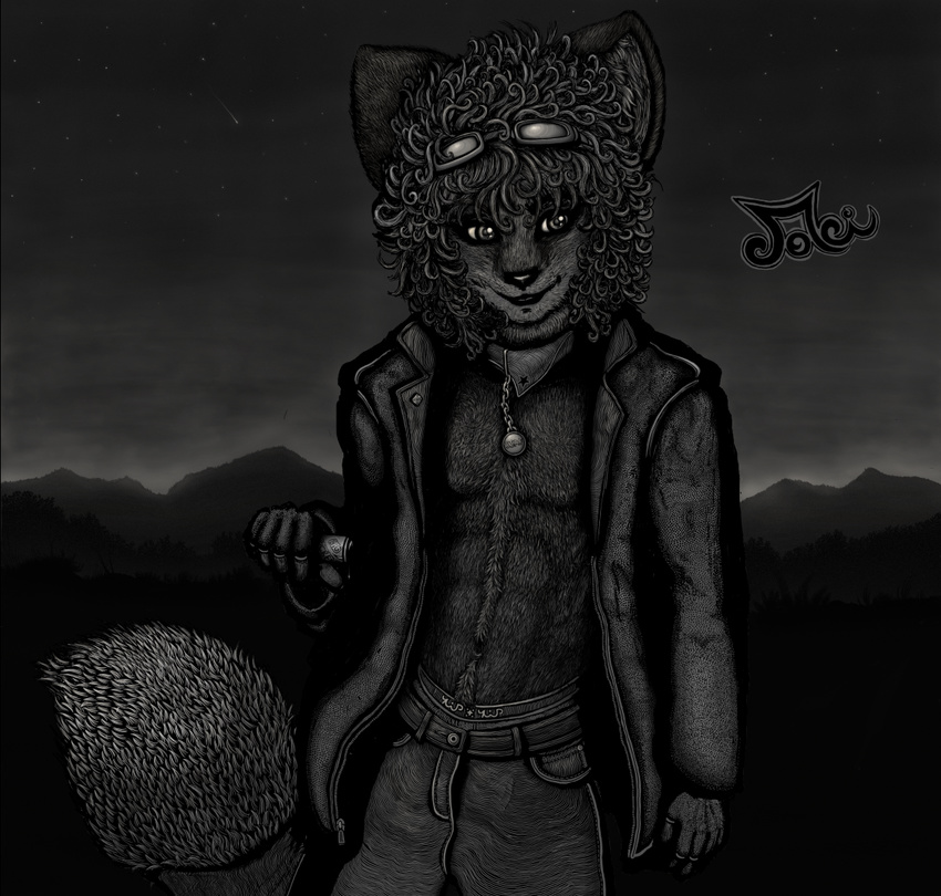 collar eyewear glasses grass jewfro leather_jacket male monochrome mountain night shooting_star solo stars supersexyactionfurry tail