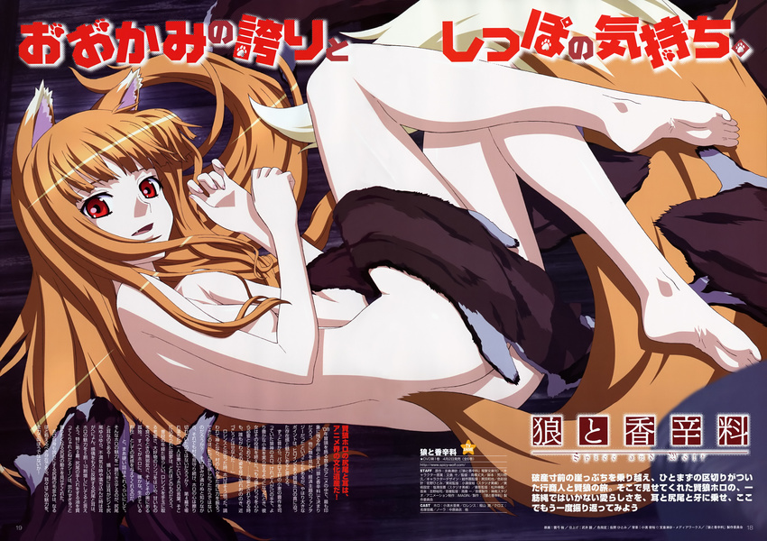 animal_ears female hi_res horo japanese_text ookami_to_koushinryou ookamimimi spice_and_wolf tail text wolf_ears