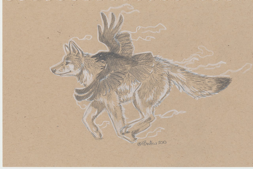 canine feral heather_bruton mammal non-anthro sketch solo wings wolf