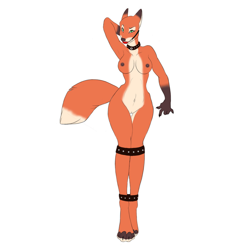 ball_gag bdsm bondage bound breasts canine collar female fox gag green_eyes looking_at_viewer mammal nastywolf613 navel nipples nude plain_background pussy solo standing tail white_background