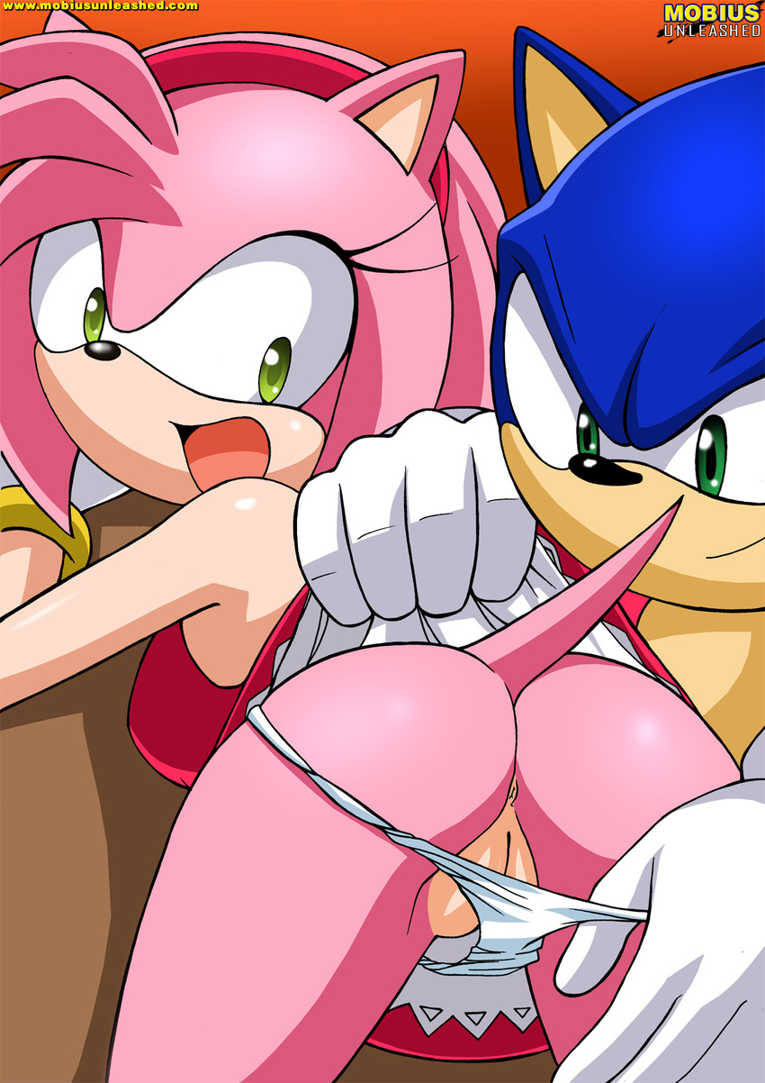 amy_rose female hedgehog male mobius_unleashed panties sonic_(series) sonic_the_hedgehog straight underwear undressing