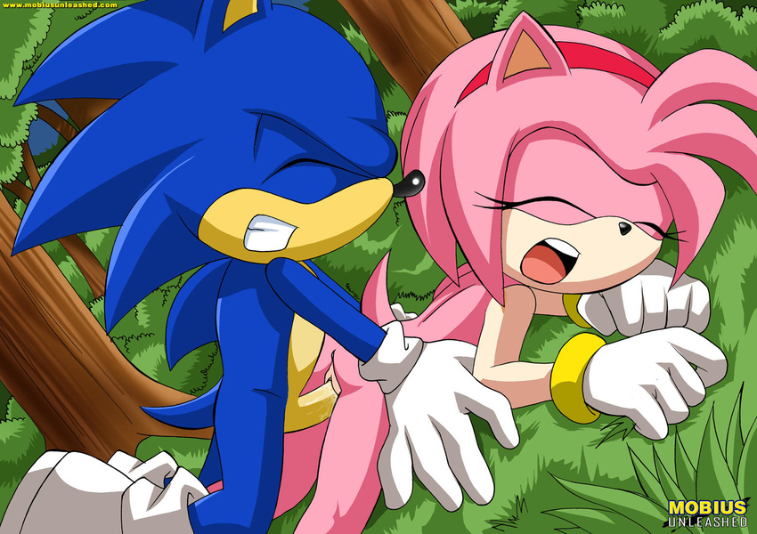 amy_rose cum cum_inside doggy_position eyes_closed female forest from_behind gloves grass hedgehog male mobian mobius_unleashed nude penetration penis pink pussy sega sex sonic_(series) sonic_the_hedgehog straight tree trees vaginal vaginal_penetration