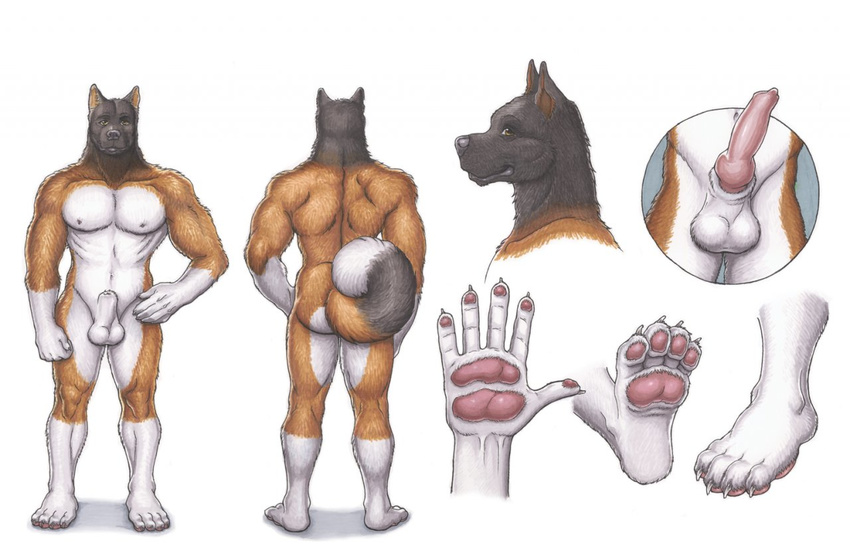 animal_genitalia canine canine_penis dog erection hurst knot looking_at_viewer male mammal model_sheet muscles nipples paws penis plain_background ratcandy sheath smile solo white_background yellow_eyes