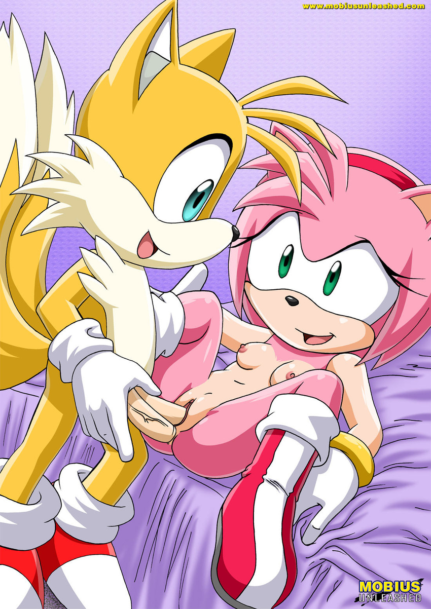 amy_rose anal anal_penetration bed breasts canine female fox gloves male miles_prower missionary_position mobian mobius_unleashed nude on_back penetration penis pink pussy sega sex smile sonic_(series) straight tails vaginal vaginal_penetration