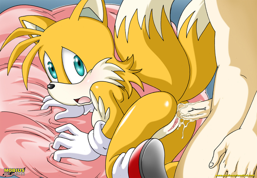 anal canine cum cum_in_ass cum_inside female fox gloves human male miles_prower mobian mobius_unleashed pussy sega sex sonic_(series) tails