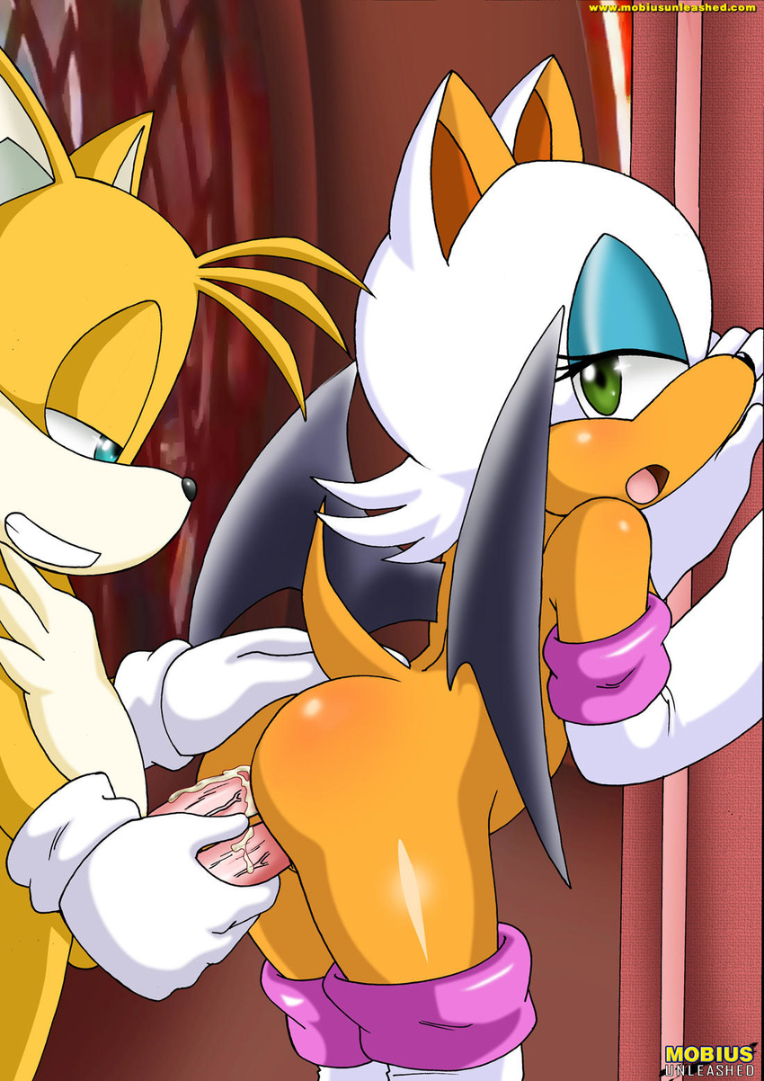 anal anal_penetration canine cum cum_inside diphallism female fox from_behind gloves male miles_prower mobian mobius_unleashed multi_cock penetration penis rouge_the_bat sega sex smile sonic_(series) tails vaginal vaginal_penetration