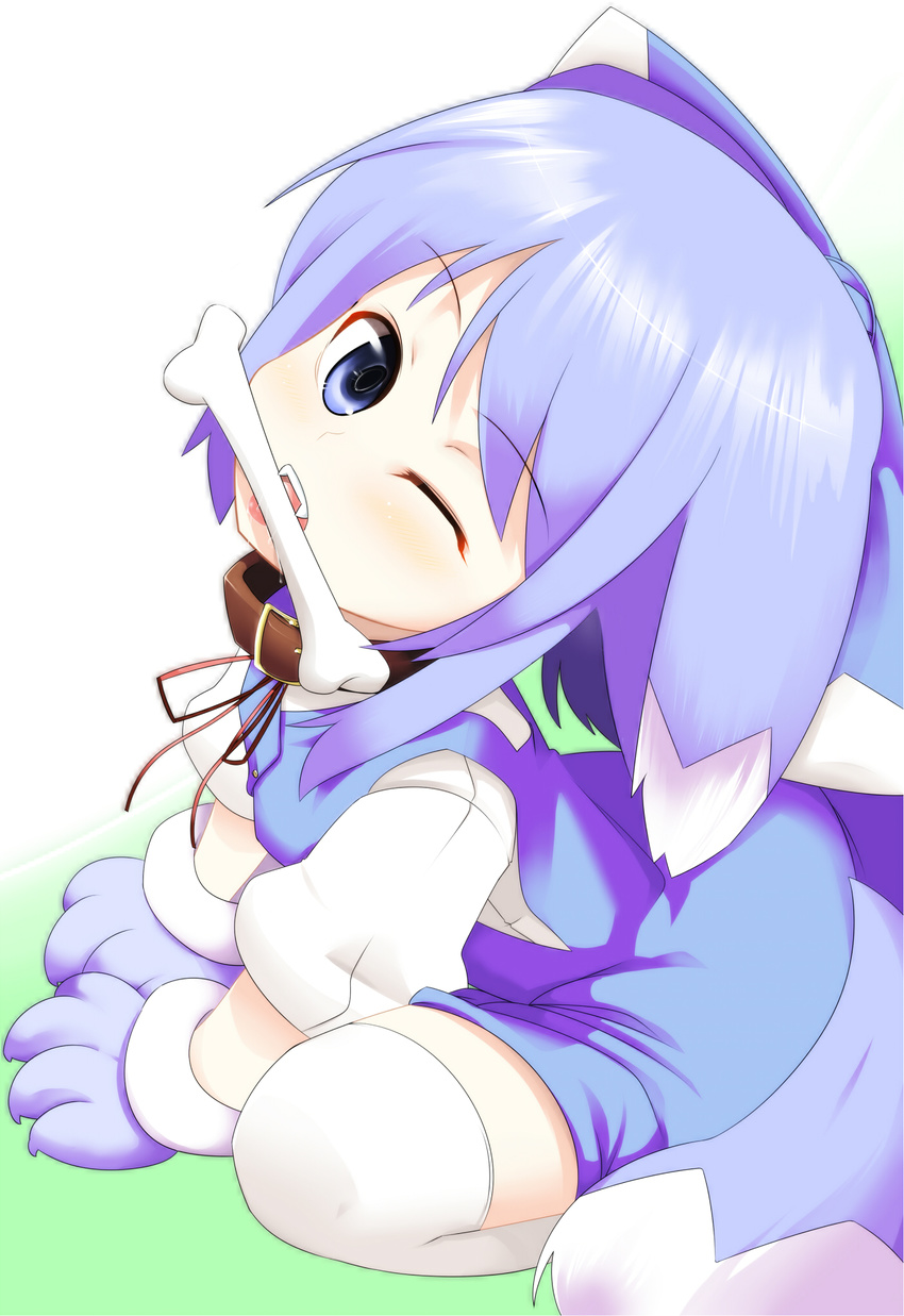 animal_ears bad_id bad_pixiv_id blue_eyes blue_hair bone cirno collar fangs highres looking_at_viewer mouth_hold one_eye_closed paws shamo_(koumakantv) smile solo tail touhou