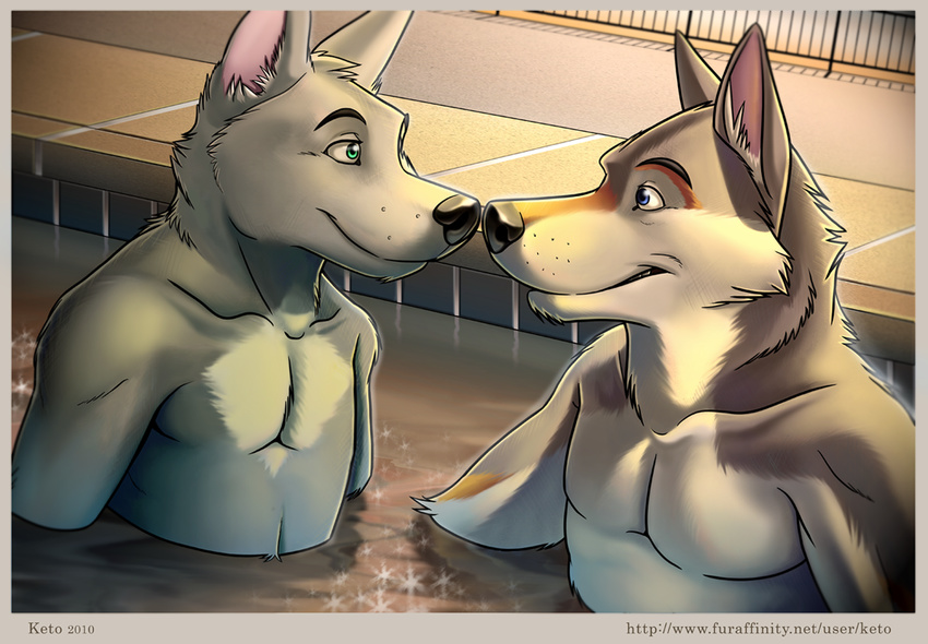 anthro black_nose blue_eyes canine dog duo eye_contact fur gay green_eyes grey_fur keto male mammal muscles nose_to_nose pecs pool side_view smile water wet white_fur wolf