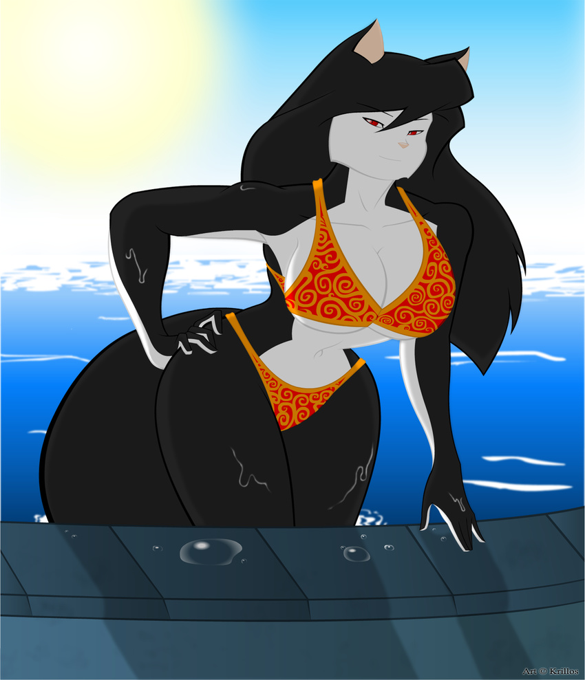 bikini black black_fur black_hair breasts clothed clothing feline female fur hair krillos mammal pool red_eyes skimpy solo sun swimsuit tight_clothing water wide_hips