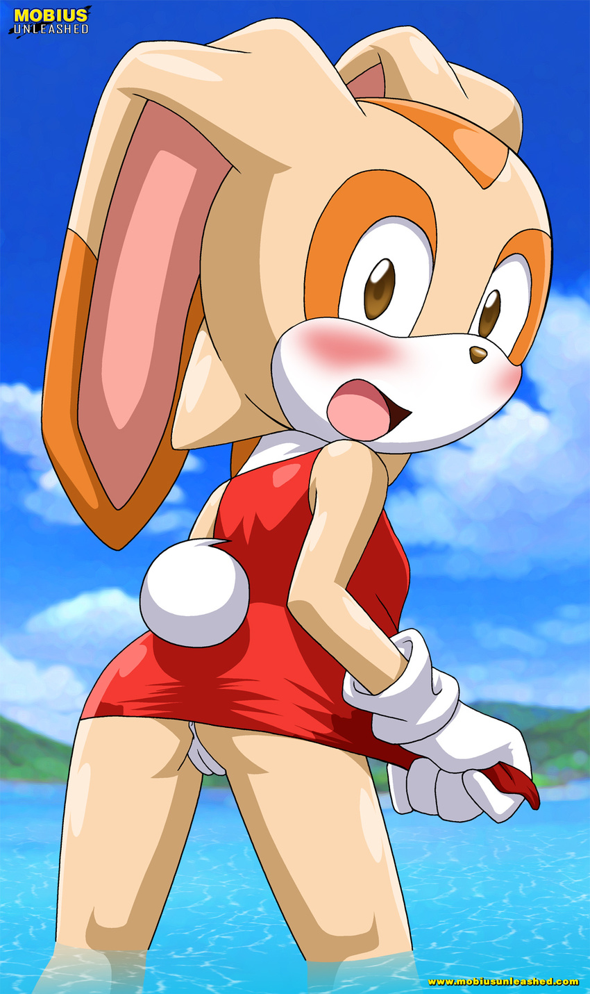 beach blush clothing cream_the_rabbit female lagomorph looking_at_viewer looking_over_shoulder mobius_unleashed plump_labia pussy rabbit sea seaside solo sonic_(series) surprised