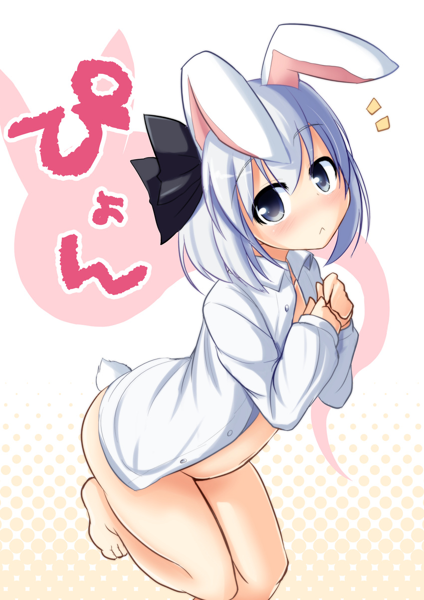 1girl :&lt; absurdres animal_ears barefoot blue_eyes blush bottomless bunny_ears bunny_tail dress_shirt halftone halftone_background highres kemonomimi_mode kneeling konpaku_youmu looking_at_viewer mirino naked_shirt no_panties open_clothes open_shirt shirt short_hair silver_hair solo tail touhou white_hair