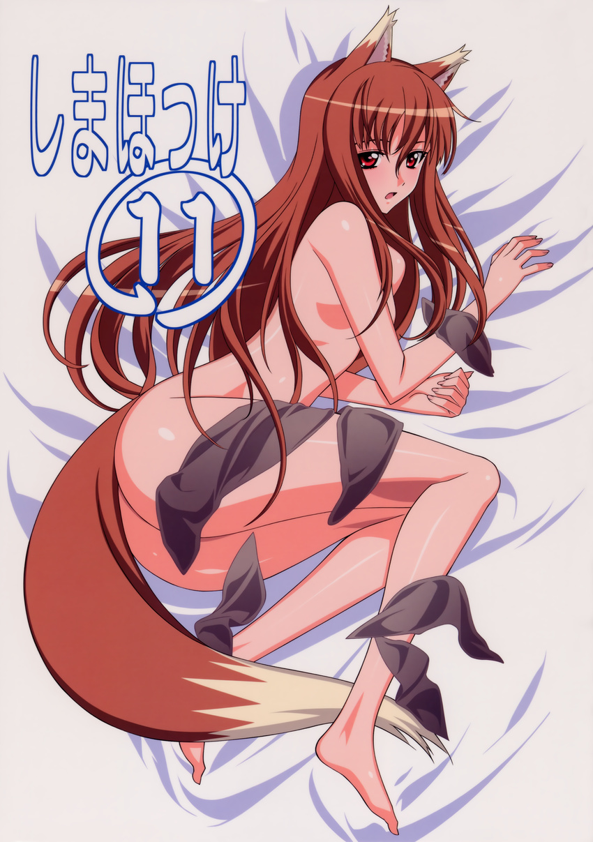 bed breasts female hi_res horo ookami_to_koushinryou solo spice_and_wolf