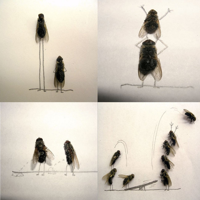 back_view comic feral fly front_view full-length_portrait group humor insect jumping mixed_media multiple_angles multiple_poses paper peeing pencil_(art) pencils plain_background real side_view size_difference standing traditional_media trampoline unknown_artist urine watersports white_background