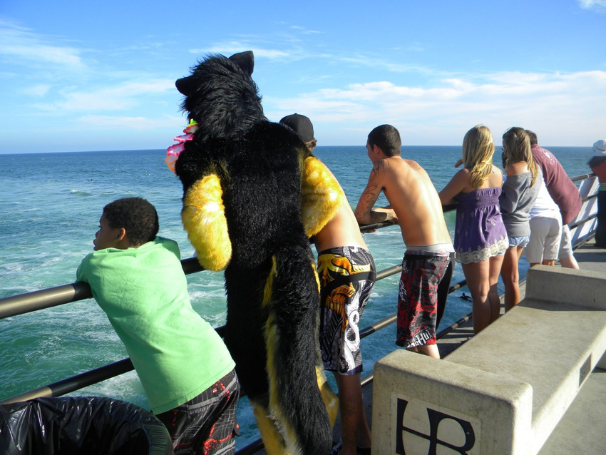 boat dog dogbomb fursuit german_shepherd human mammal ocean photo real sea swimsuit tattoo water