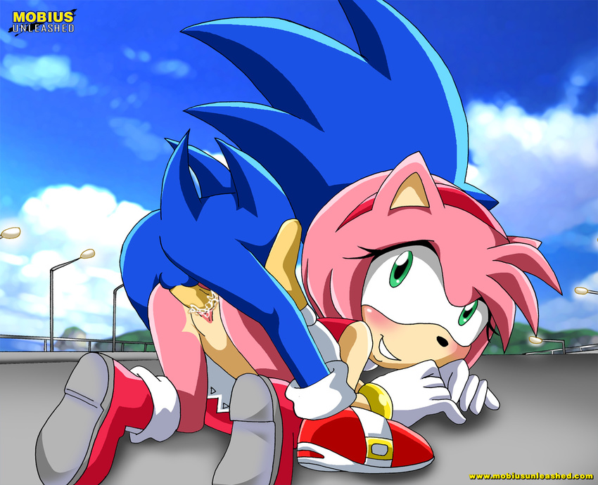 amy_rose blush doggy_position female hedgehog looking_at_viewer male mobius_unleashed penetration penis pussy pussy_juice sex smile sonic_(series) sonic_the_hedgehog straight vaginal vaginal_penetration